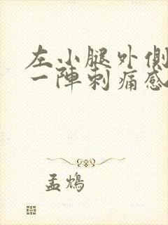 左小腿外侧一阵一阵刺痛感封面