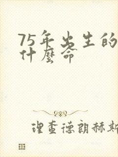 75年出生的兔什么命