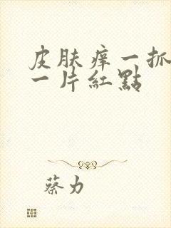 皮肤痒一抓就起一片红点