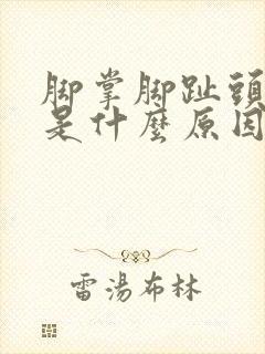 脚掌脚趾头麻木是什么原因