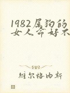 1982属狗的女人命好不好