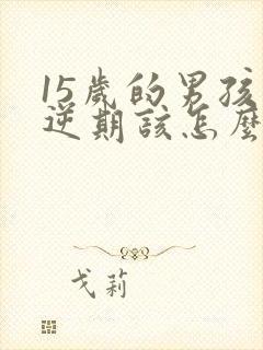 15岁的男孩叛逆期该怎么办