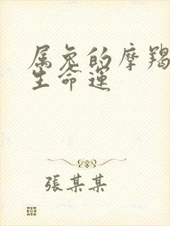 属兔的摩羯女一生命运