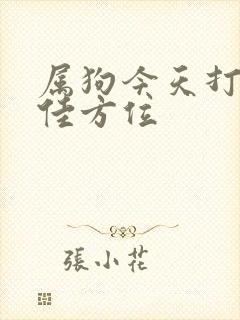 属狗今天打牌最佳方位