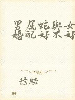 男属蛇与女属马婚配好不好