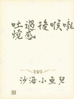 吐过后喉咙有灼烧感封面