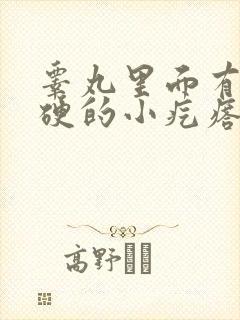 睾丸里面有个硬硬的小疙瘩疼是怎么回事