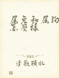 属兔和属狗姻缘怎么样