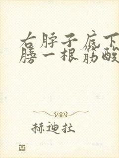 右脖子底下连肩膀一根筋酸痛