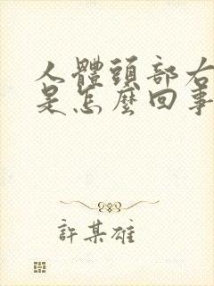 人体头部右边疼是怎么回事封面