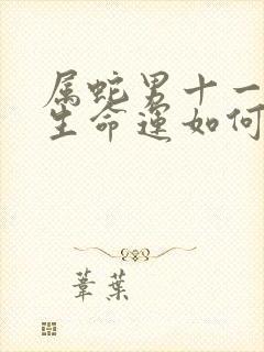 属蛇男十一月出生命运如何