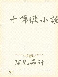 十锦缎小说