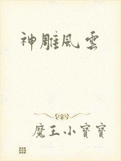 神雕风云