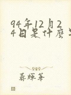 94年12月24日是什么星座