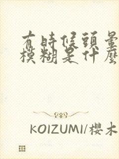 有时候头晕视力模糊是什么原因封面