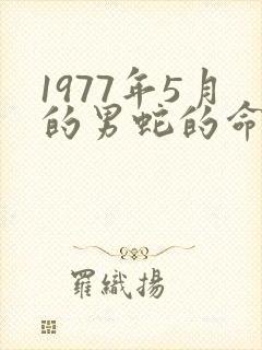 1977年5月的男蛇的命运