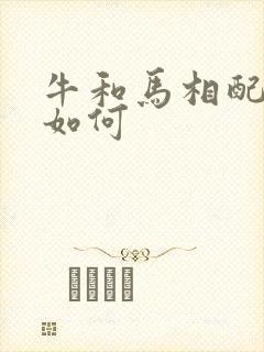 牛和马相配婚姻如何封面
