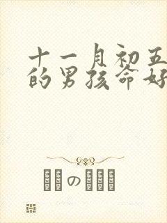 十一月初五出生的男孩命好吗