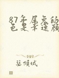 87年属兔的颜色是幸运颜色