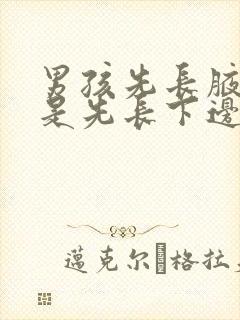 男孩先长腋毛还是先长下边的毛呢封面