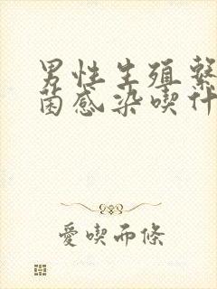 男性生殖系统真菌感染吃什么药