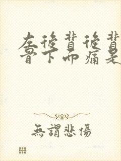 左后背后背肩胛骨下面痛是什么原因封面