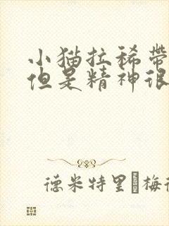 小猫拉稀带血的但是精神很好