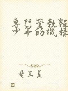 专门管教叛逆青少年的机构