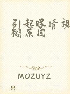 引起眼睛视力模糊原因