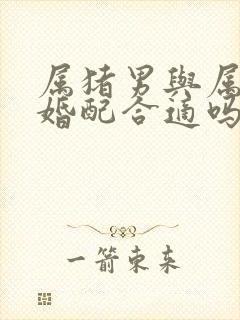 属猪男与属龙女婚配合适吗