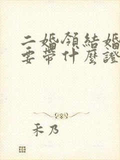 二婚领结婚证需要带什么证件