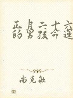 正月二十六出生的男孩命运怎么样