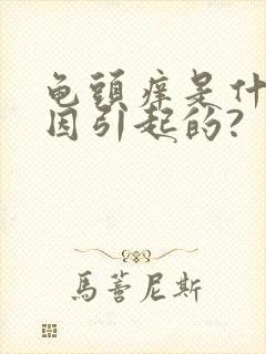 龟头痒是什么原因引起的?