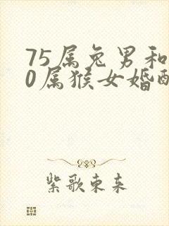 75属兔男和80属猴女婚配