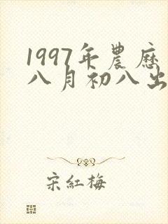 1997年农历八月初八出生的人命运