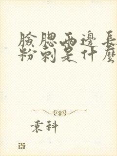 脸腮两边长闭口粉刺是什么原因