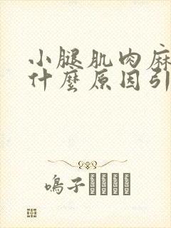 小腿肌肉麻木是什么原因引起的