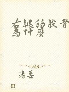 右腿的股骨头疼为什么