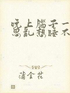 晚上脑子一直胡思乱想睡不着是什么情况