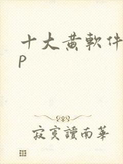 十大黄软件app封面