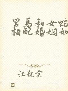 男马和女蛇属相相配婚姻如何