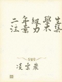 二年级学生上课注意力不集中应该怎么办封面