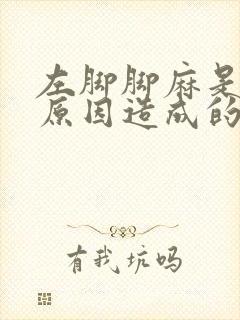 左脚脚麻是什么原因造成的