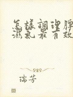 怎样调理脾胃去湿气最有效