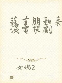 苏有朋和秦岚主演电视剧封面