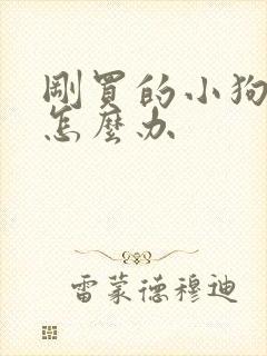 刚买的小狗拉稀怎么办