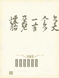 怀孕一个多月的胎儿有多大