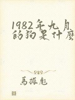 1982年九月的狗是什么命