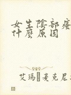 女生阴部瘙痒是什么原因封面