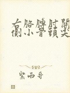 右胳膊肘关节外侧小骨头尖疼怎么办封面